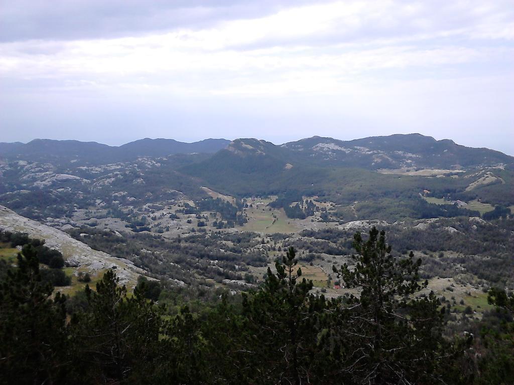 Apartments Mirkovic Cetinje Bagian luar foto