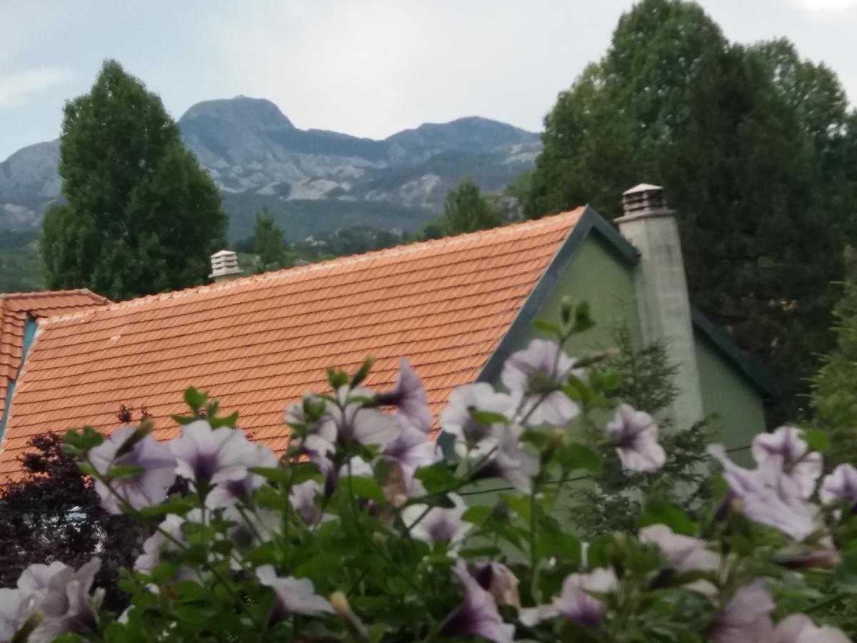 Apartments Mirkovic Cetinje Bagian luar foto
