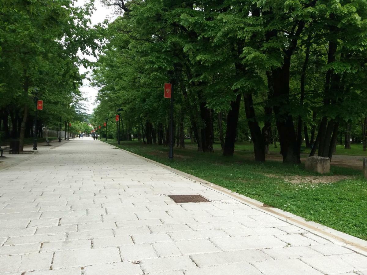 Apartments Mirkovic Cetinje Bagian luar foto